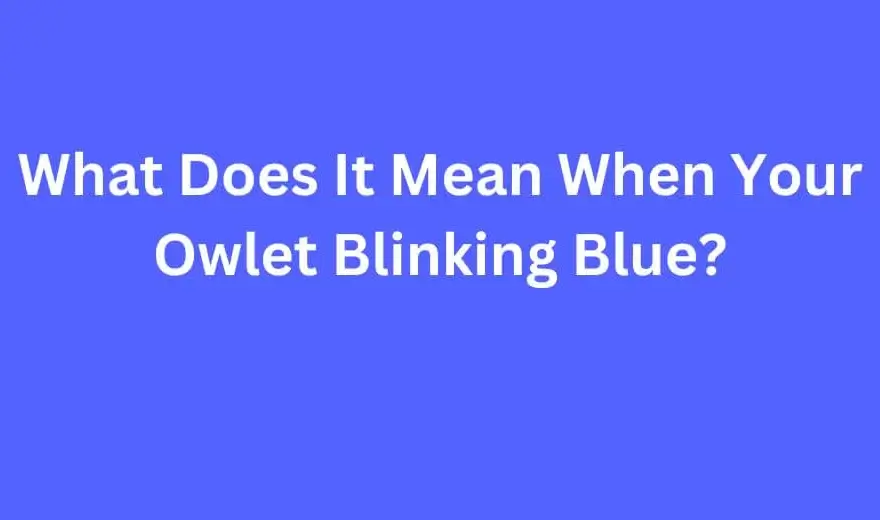 Owlet Blinking Blue